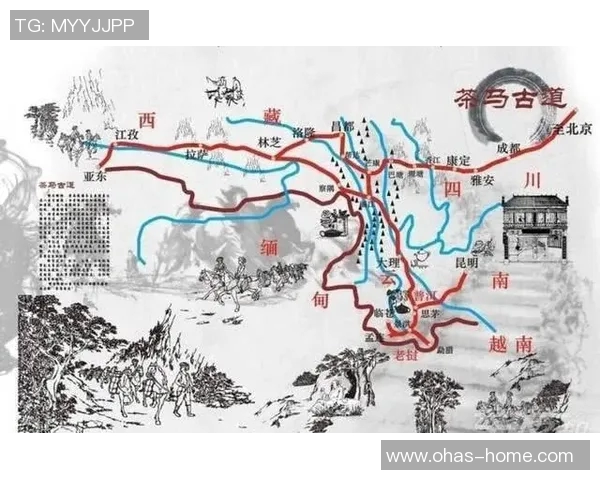 中国与不丹的友谊与挑战：历史文化交流与未来合作展望